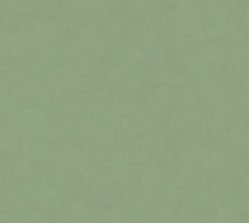 Olivgrün matt